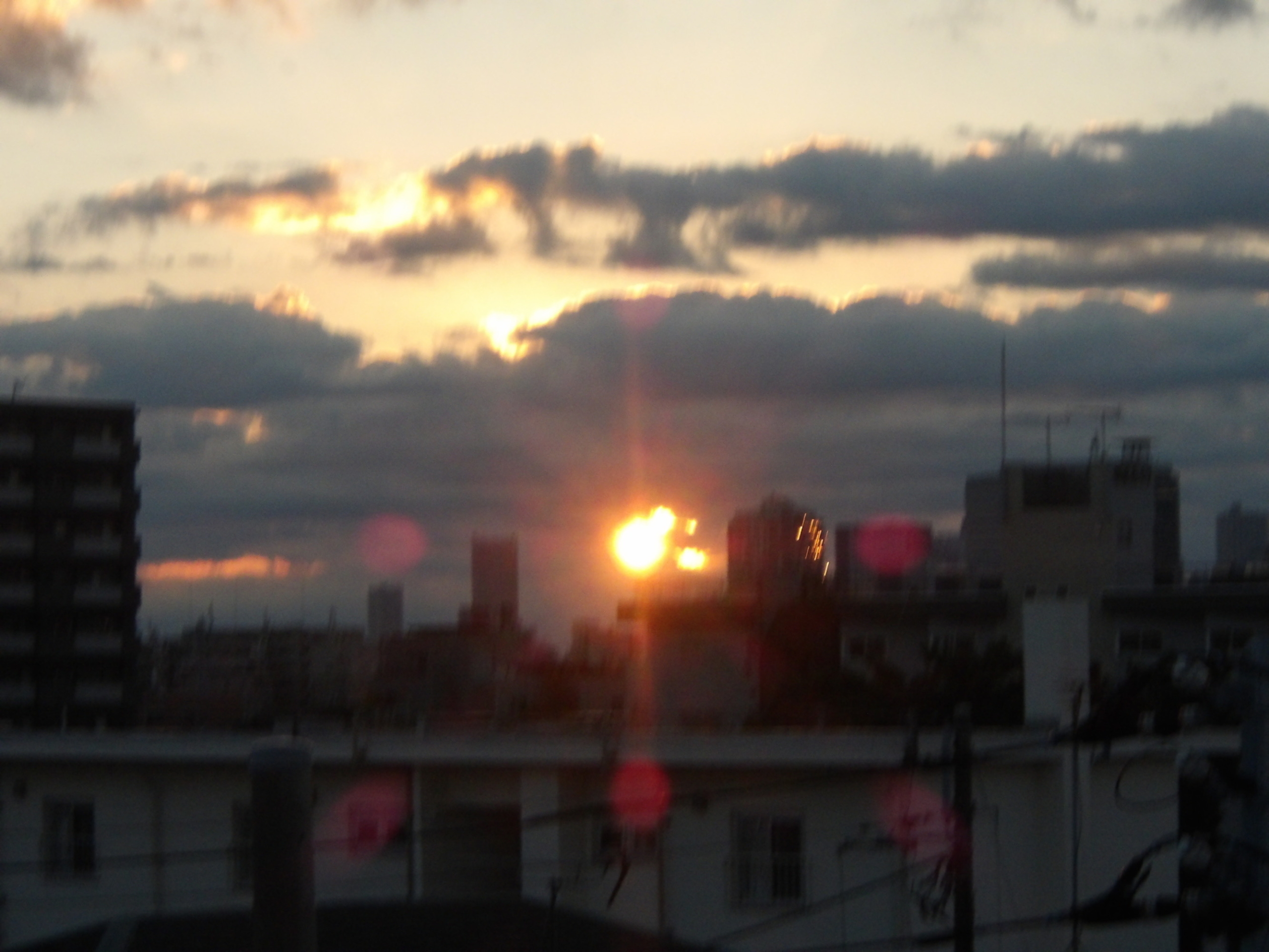 初日の出2026-1　ニチイホーム野方